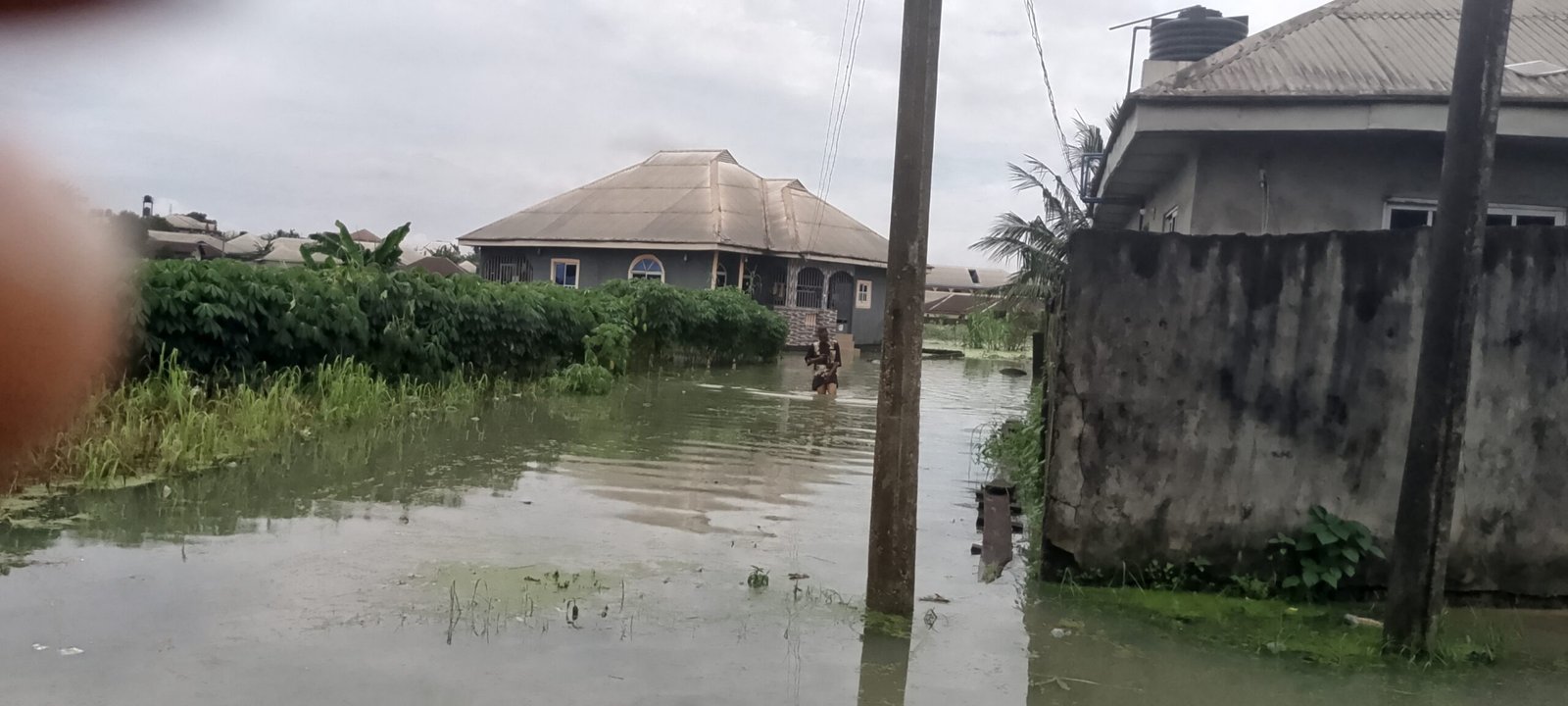 Flooding: Environmentalist Faults Rivers Ad Hoc Committee, Calls for Permanent Agency.